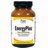 Energy Plus