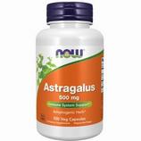 Astragalus