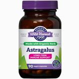 Astragalus