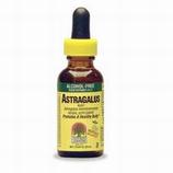 Astragalus Root