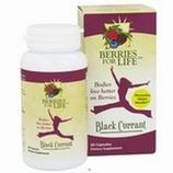 Black Currant