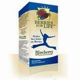 Blueberry