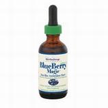 Blueberry Magic