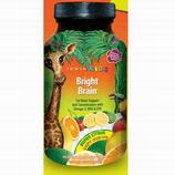 Bright Brain