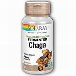 Chaga Fermented Mushroom