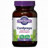 Cordyceps