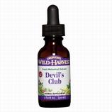 Devil's Club