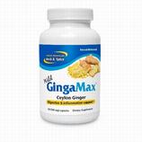GingaMax