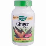 Ginger Root