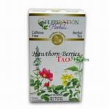 Hawthorn Berries Tea Organic