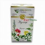 Hyssop Tea