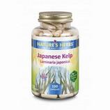Japanese Kelp