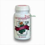 LactationBlend
