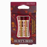 Lip Shimmer 3 Pack