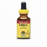Lobelia