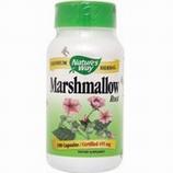 Marshmallow Root