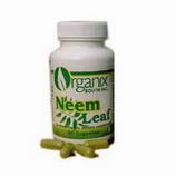 Neem Leaf Capsules 480 mg