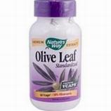 Olive Leaf Standardized