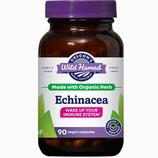 Organic Echinacea