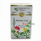 Plantain Leaf  Tea