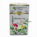 Plantain Leaf  Tea Organic