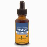 Skullcap