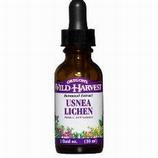 Usnea Lichen Extract