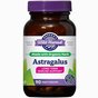 Astragalus