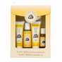 Baby Bee Getting Started Kit