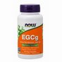 EGCg Green Tea Extract