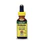 Echinacea Alcohol Free