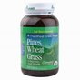 Pines Wheat Grass