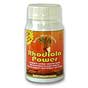Rhodiola Power
