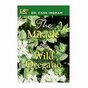 The Miracle of Wild Oregano