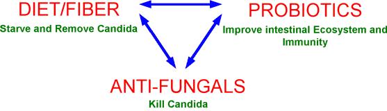 measures to contril candida